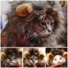 criniere-lion-chat (1)