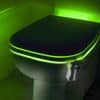lumiere-toilette (1)