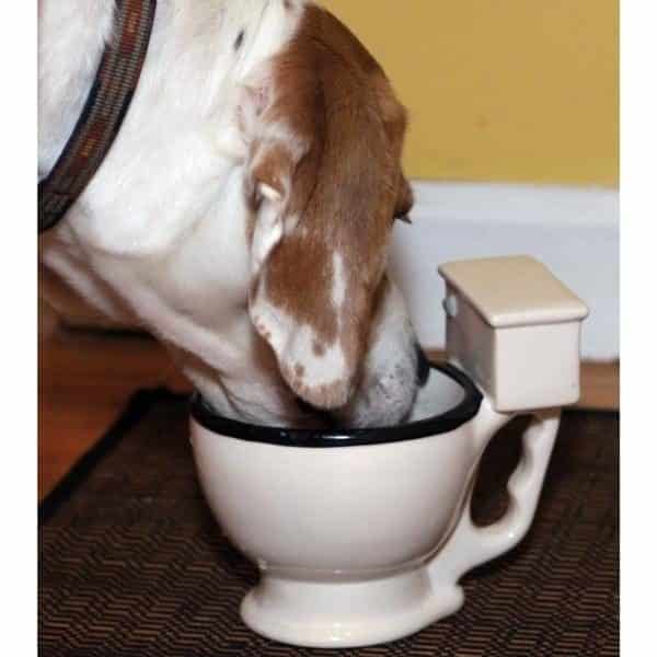 mug toilette