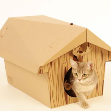 cabane-chalet-chat4