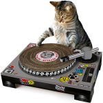 platine dj grattoir pour chat