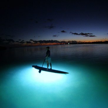 lumiere-stand-up-paddle2