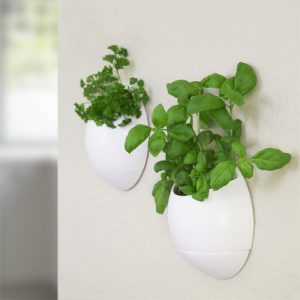 pot_fleur_mural_auto_arrosage