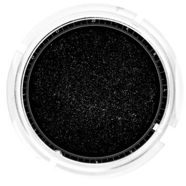 Astro Eye Planetarium