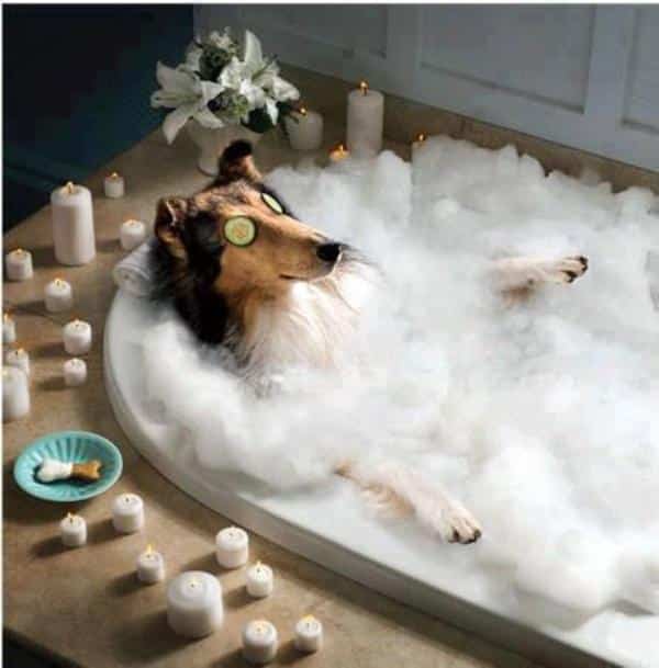 Charmant Photo De Bain Moussant #2: Super Insolite Charmant Photo De Bain Moussant #2: Super Insolite