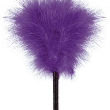 plumeau-coquin-violet