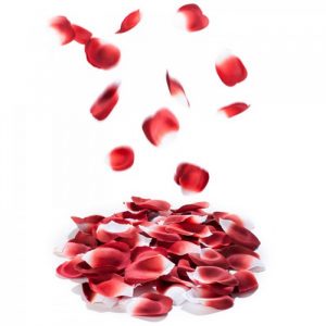 petales-de-roses-parfumees-explosion (5)