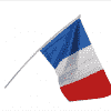 petit drapeau français