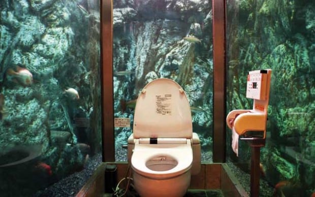 toilettes tropicales
