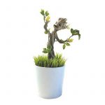 Plante groot lumineux