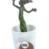 plante-groot-lumineux (4)
