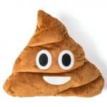 coussin-emoticone-crotte-poo