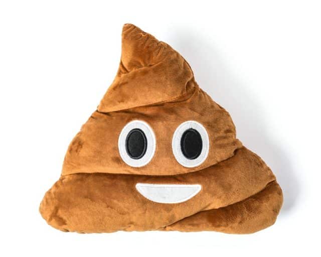 coussin emoticone crotte