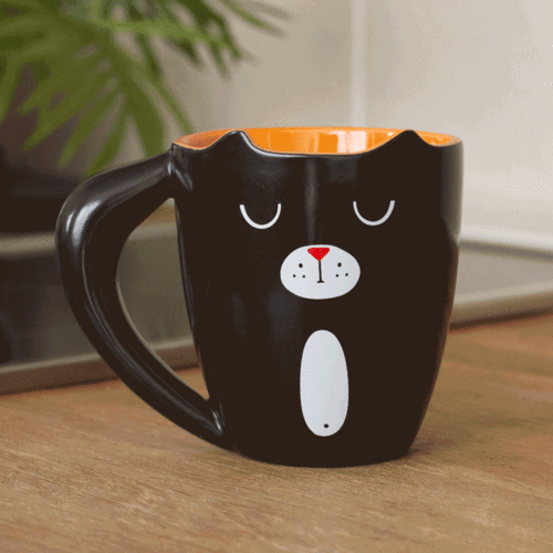 mug chat roux et noir