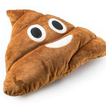 coussin emoticone crotte