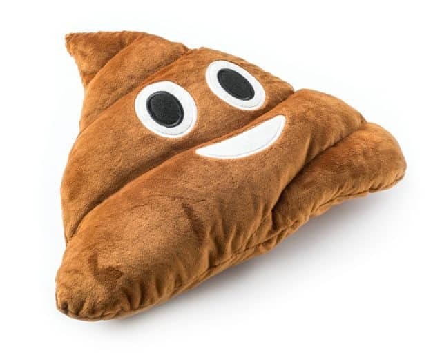 coussin emoticone crotte