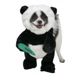 deguisement-chien-panda