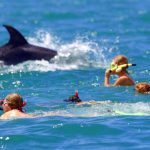 nager avec les dauphins à Cannes