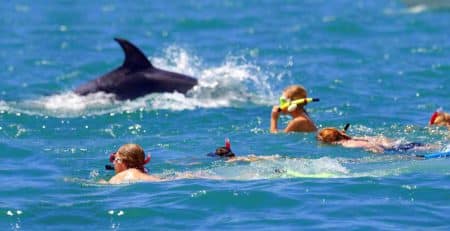 nager avec les dauphins à Cannes