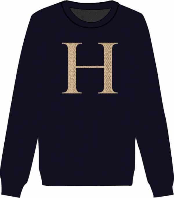 Pull de Noel Harry Potter H Super Insolite