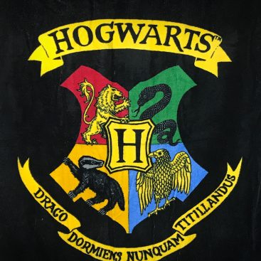 serviette de bain Harry Potter