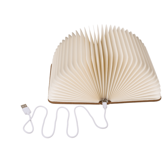 Livre lumineux - Super Insolite