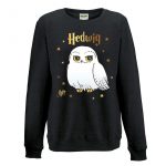 pull-harry-potter-hedwige