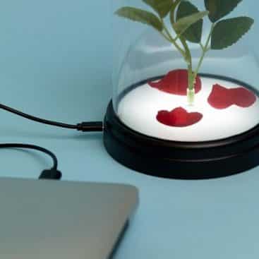 lampe rose enchantée la belle et la bete