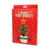 kit-decoration-noel-plante (2)