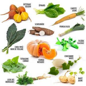 coffret 12 légumes insolites à faire pousser