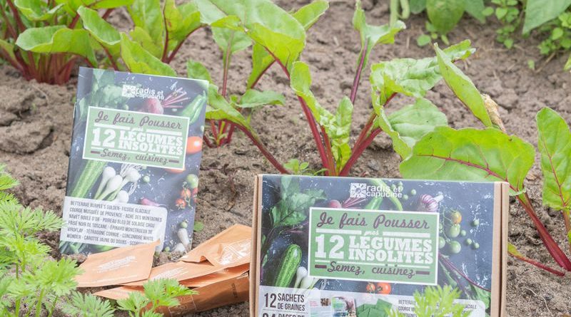 coffret 12 légumes insolites à faire pousser