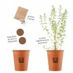 kit-cadeau-plante-saucisson-faire-pousser (3)