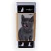 kit-fabrication-croquette-chat-maison (3)