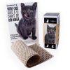 kit fabrication croquettes pour chat maison