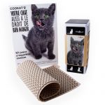 kit-fabrication-croquette-chat-maison (4)