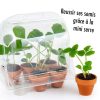 mini-serre-plastique-recycle-graines-de-fraisiers
