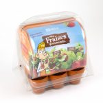 mini-serre-plastique-recycle-graines-de-fraisiers (4)