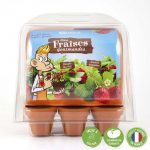 mini-serre-plastique-recycle-graines-de-fraisiers (6)
