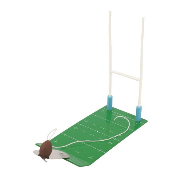 jeu mini rugby