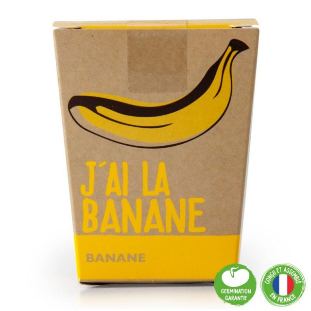 kit j'ai la banane graines bananier