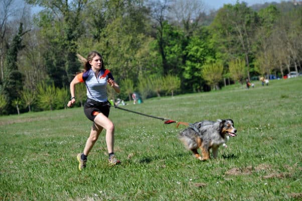 laisse pour courir avec son chien