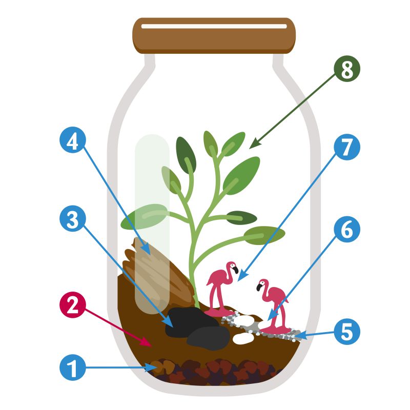 terrarium à faire soi-même