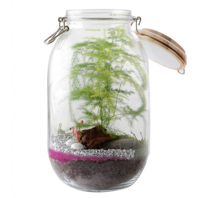 terrarium à faire soi-même