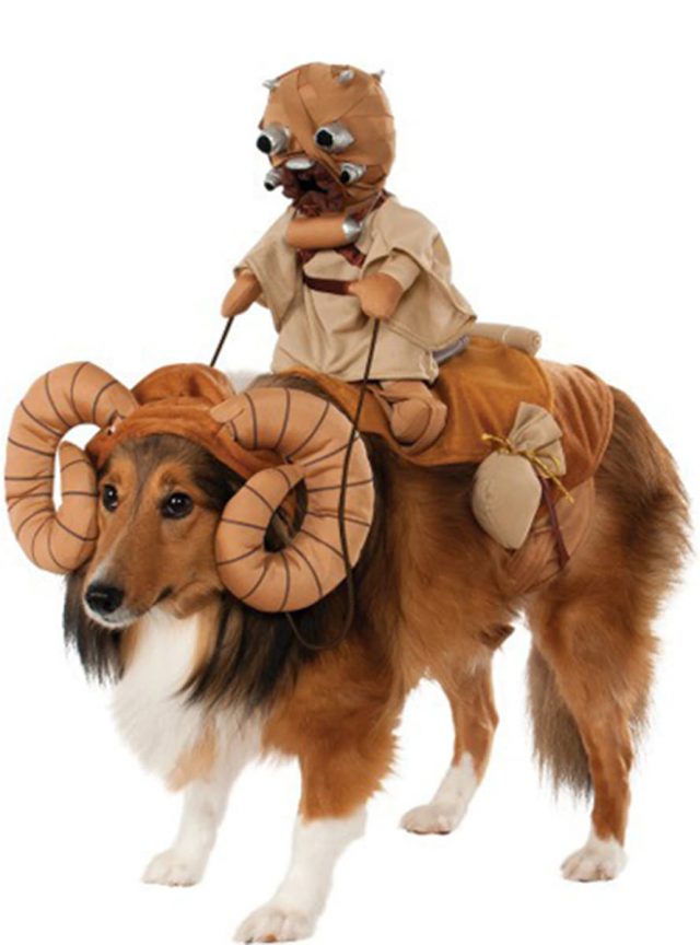 deguisement chien star wars bantha