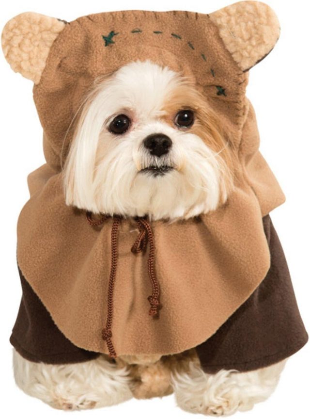 deguisement chien ewok