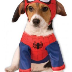 déguisement chien spiderman