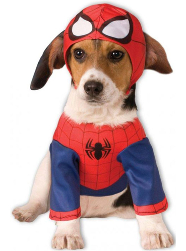 déguisement chien spiderman