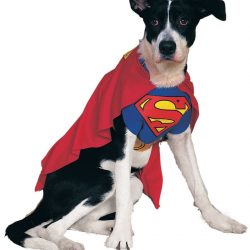 déguisement chien superman