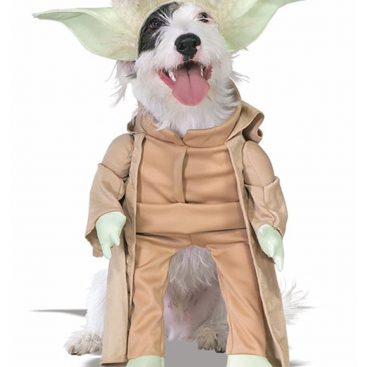 deguisement-yoda-pour-chien