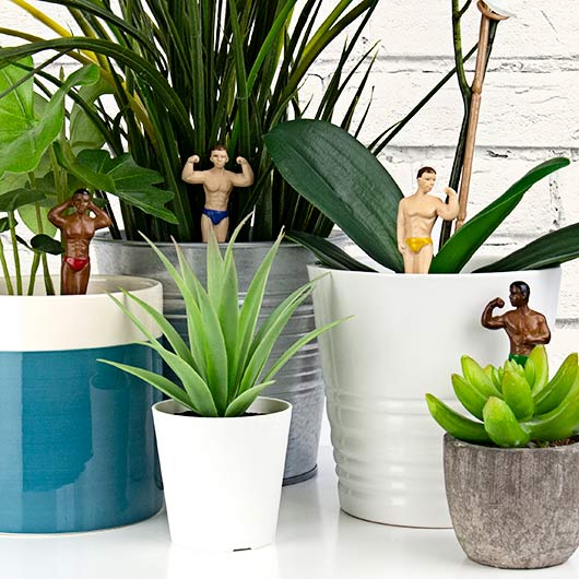 figurine homme musclés plante